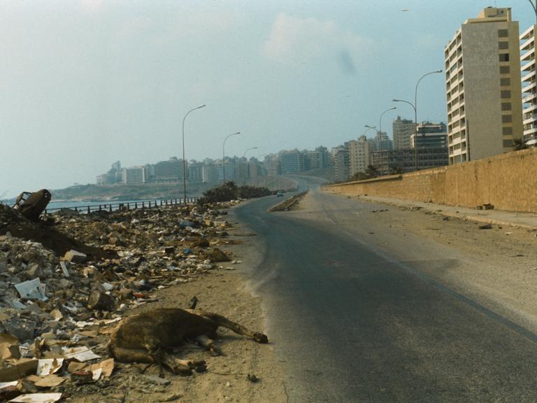 Der Kadaver eines Rindes liegt neben Trümmerbergen am Rande einer Küstenstraße in Beirut im Jahr 1976.