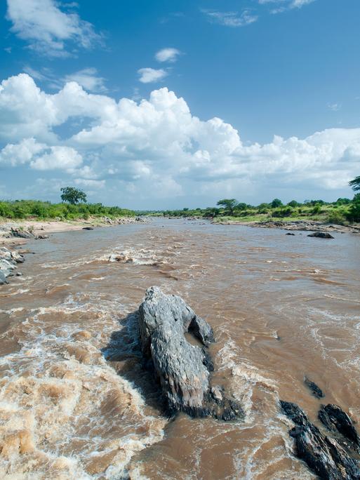 Der Marafluss in der Nähe der Grenze zwischen Kenia und Tansania. Im Vordergrund fliesst Wasser über Steine, im Hintergrund und seitlich ist Landschaft der Serengeti zu erkennen.