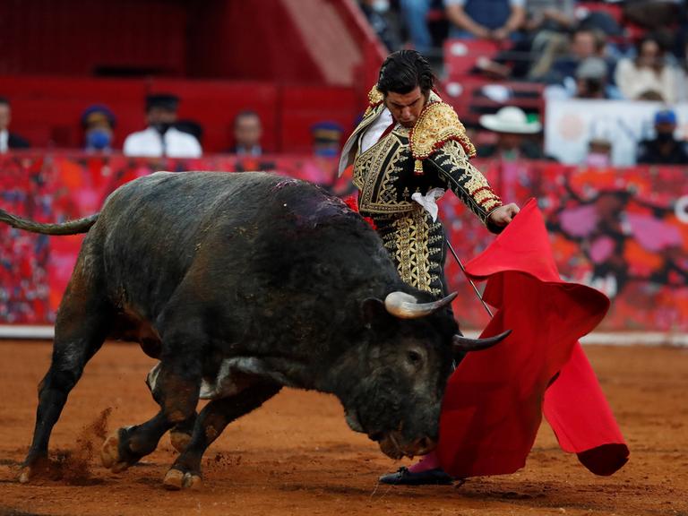 Ein mächtiger schwarzer Bulle attackiert in einer gefüllten Arena das rote Tuch, das ihm der Torero vor den Kopf hält.