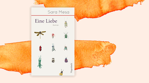 Cover von Sara Mesas "Eine Liebe". Auf dem Buchdeckel sind naturalistisch gezeichnete Insekten zu sehen.