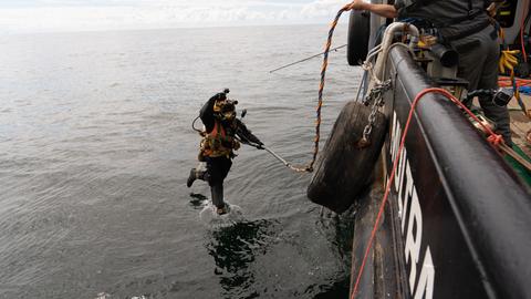 Berufstaucher springt ins Wasser zum Ausbauen des Austern Pilot Riff.