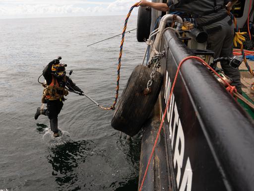 Berufstaucher springt ins Wasser zum Ausbauen des Austern Pilot Riff. Berufstaucher springt ins Wasser zum Ausbauen des Austern Pilot Riff.