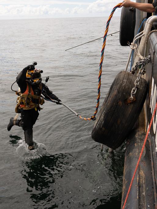 Berufstaucher springt ins Wasser zum Ausbauen des Austern Pilot Riff. Berufstaucher springt ins Wasser zum Ausbauen des Austern Pilot Riff.