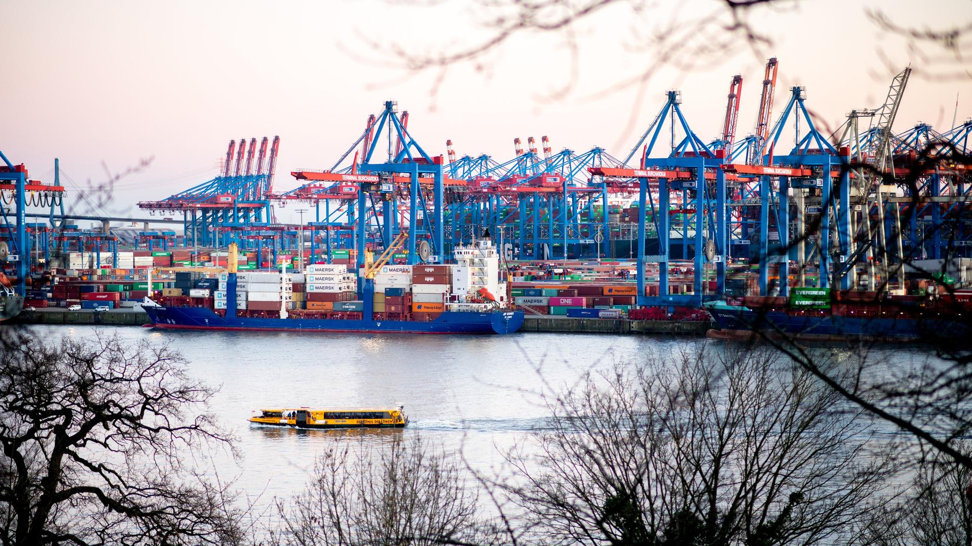 Containerbrücken am Terminal Burchardkai der HHLA im Hamburger Hafen