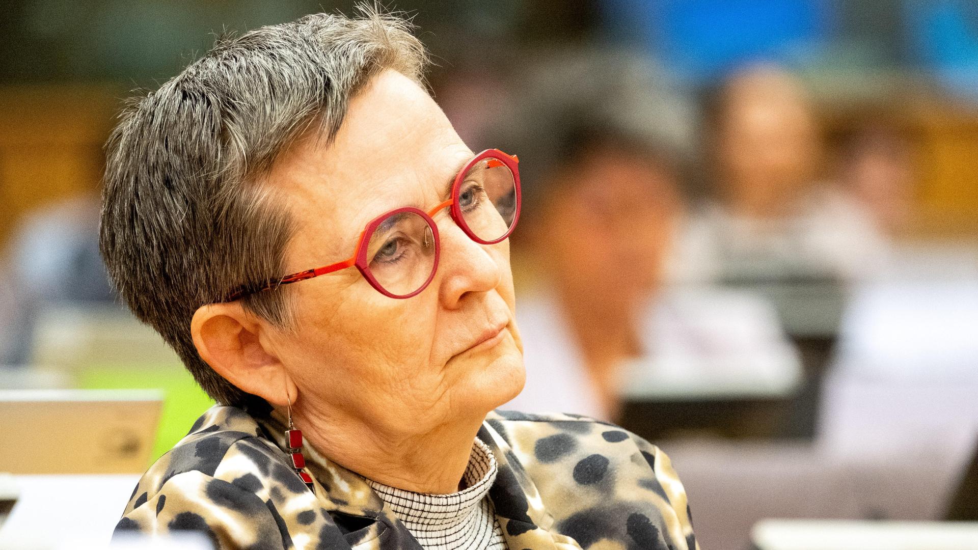 Porträt von der Europaabgeordneten Birgit Sippel.