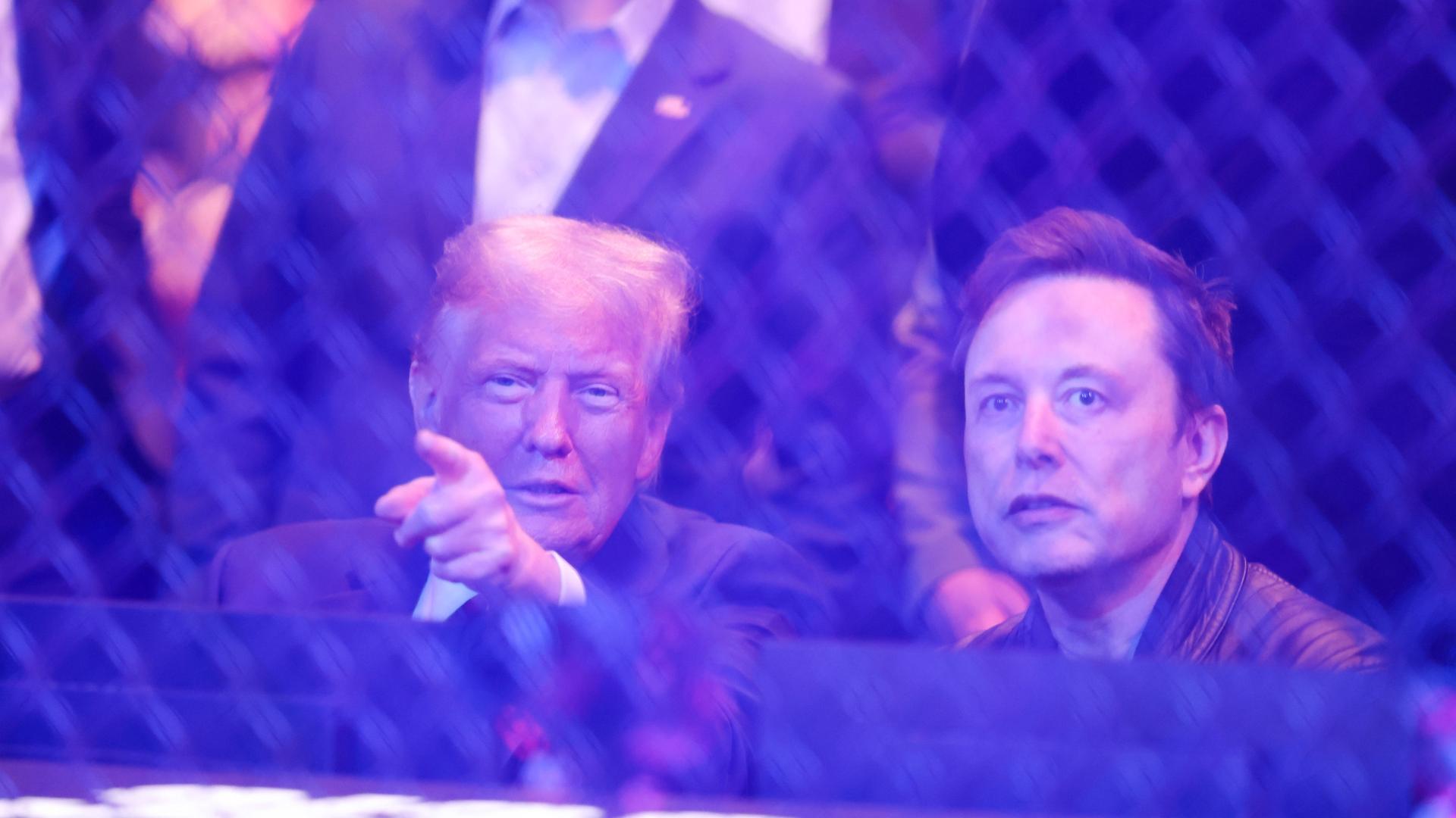 Der designierte US-Präsident Donald Trump und Elon Musk schauen im New Yorker Madison Square Garden eine UFC-Kampf- 