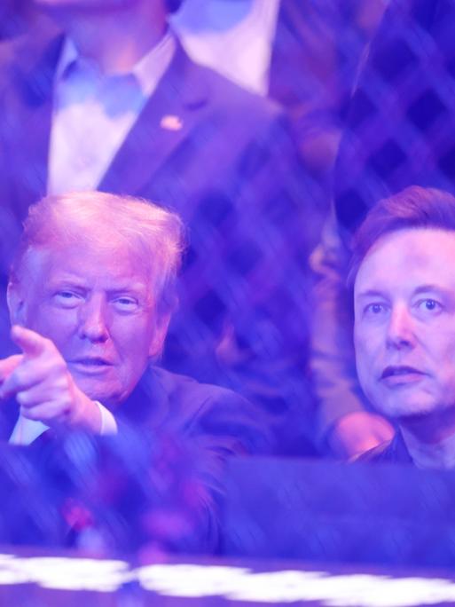 Der designierte US-Präsident Donald Trump und Elon Musk schauen im New Yorker Madison Square Garden eine UFC-Kampf- 