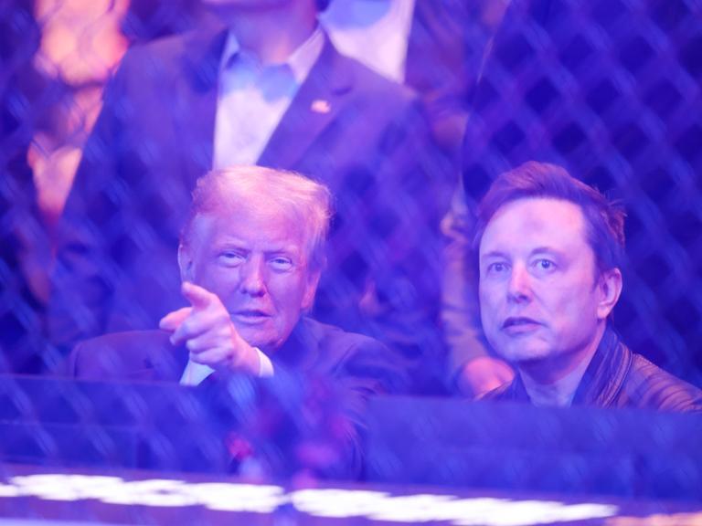 Der designierte US-Präsident Donald Trump und Elon Musk schauen im New Yorker Madison Square Garden eine UFC-Kampf- 