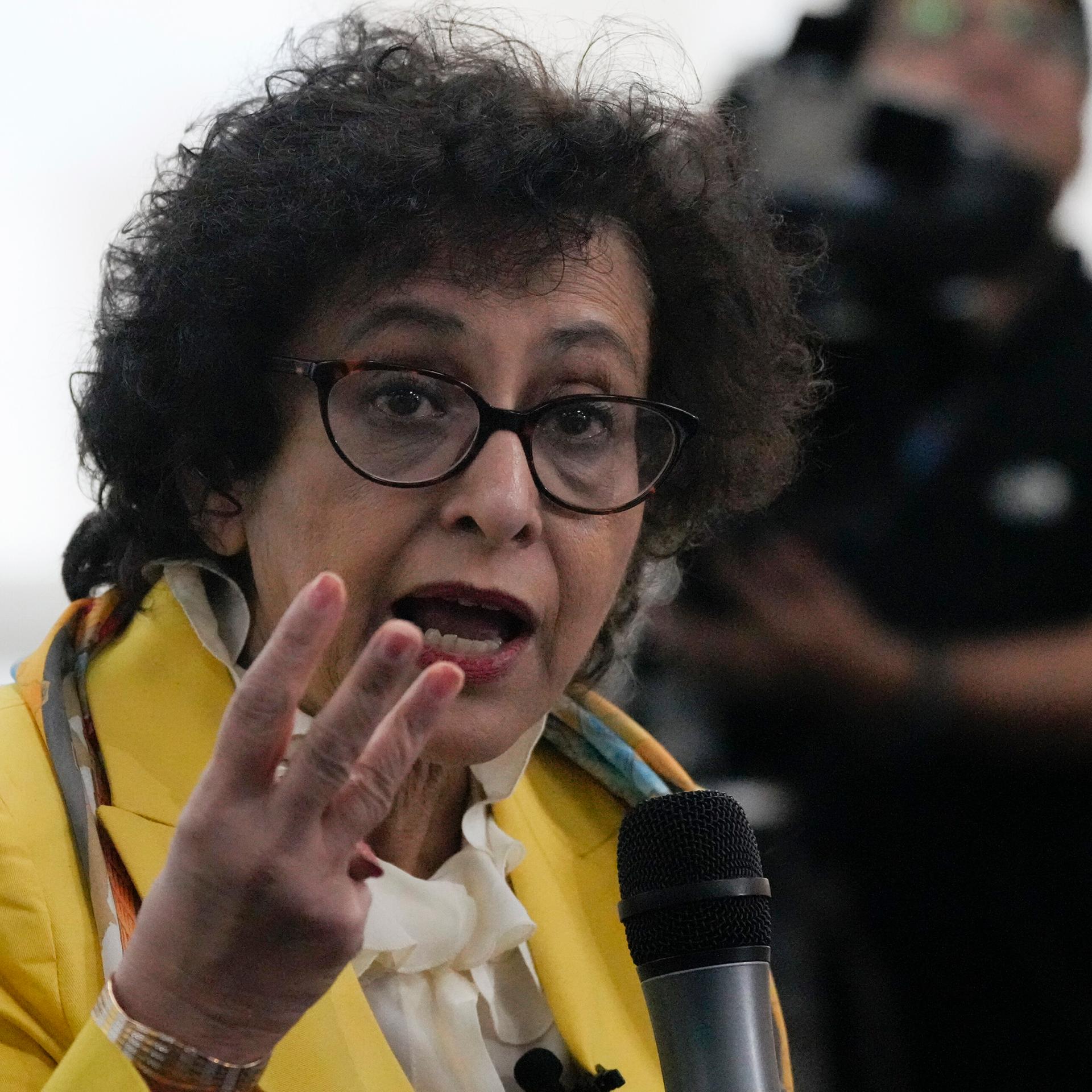 Die UNO-Sonderberichterstatterin für Meinungsfreiheit, Irene Khan