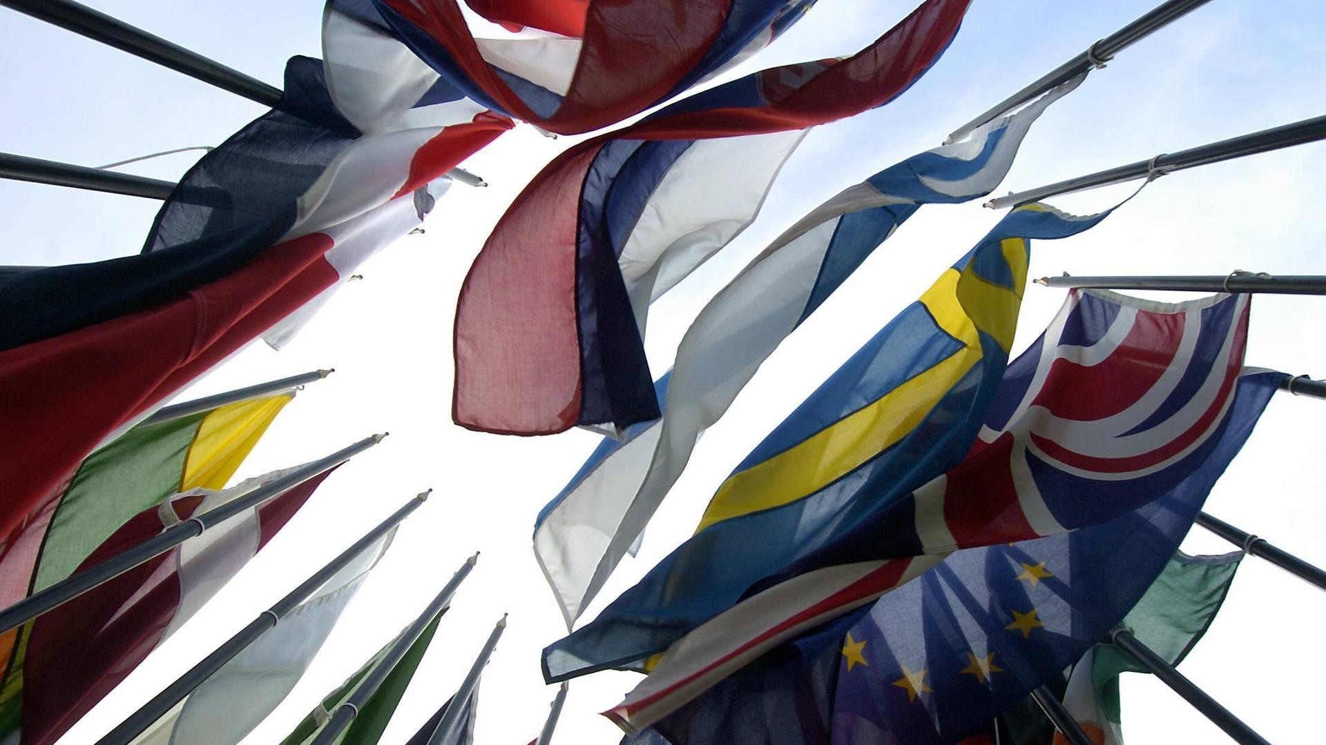 Flaggen der 25 alten und neuen EU-Mitgliedsstaaten wehen am 30.4.2004 auf dem Gelände des Erweiterungsgipfels der Europäischen Union im irischen Dublin. 
