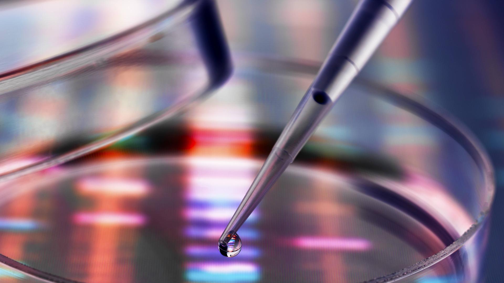 DNA-Proben werden per Pipette auf eine Petri-Schale geträufelt
Sample of DNA being pipetted into a petri dish over genetic results property released PUBLICATIONxIN DNA-Proben werden per Pipette auf eine Petri-Schale geträufelt
Sample of DNA being pipetted into a petri dish over genetic results property released PUBLICATIONxIN