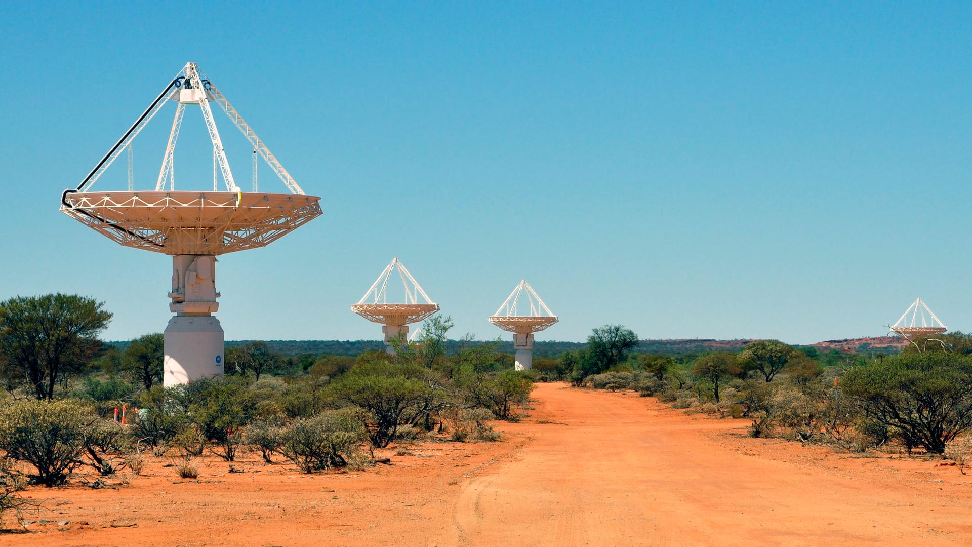 Drei Antennen des größten Radioteleskops der Welt stehen neben einer staubigen Straße im australischen Outback.