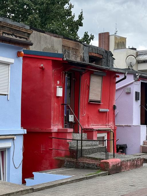 Ein Bordell in der Helenenstraße 
