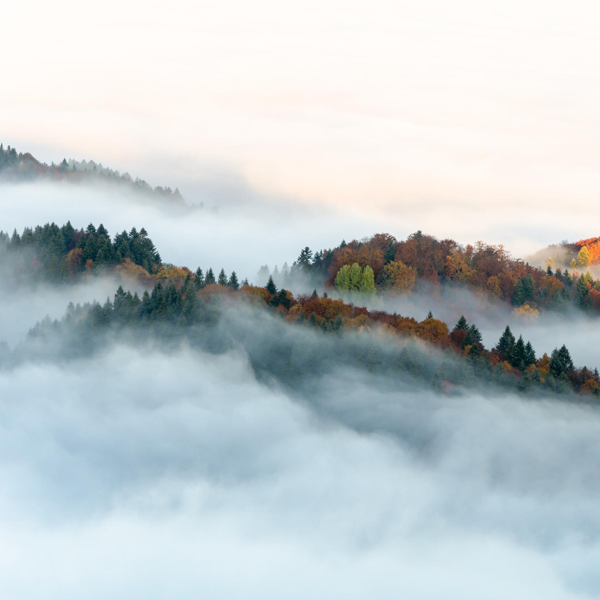 Wenn alles zu laut wird - wie finden wir mehr Stille?