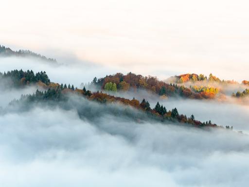 Panoramablick auf Bäume und Berge im Nebel