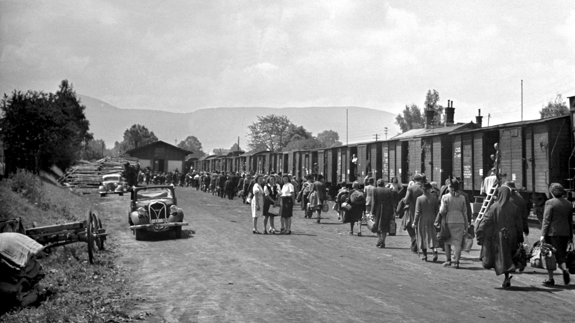 Auf einer schwarz-weiß-Aufnahme von 1946 sind Menschen zu sehen, auf Güterzüge zulaufen. Abgebildet sind Deutsche, die nach dem Ende des Zweiten Weltkriegs aus Tschechien ausgesiedelt wurden.
Auf einer schwarz-weiß-Aufnahme von 1946 sind Menschen zu sehen, auf Güterzüge zulaufen. Abgebildet sind Deutsche, die nach dem Ende des Zweiten Weltkriegs aus Tschechien ausgesiedelt wurden.