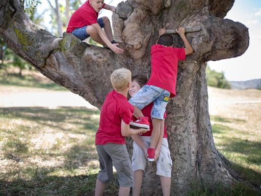 Vier Jungen in kurzen Hosen und einheitlich roten T-Shirts helfen einander, auf den Ast eines großen Baums zu klettern.