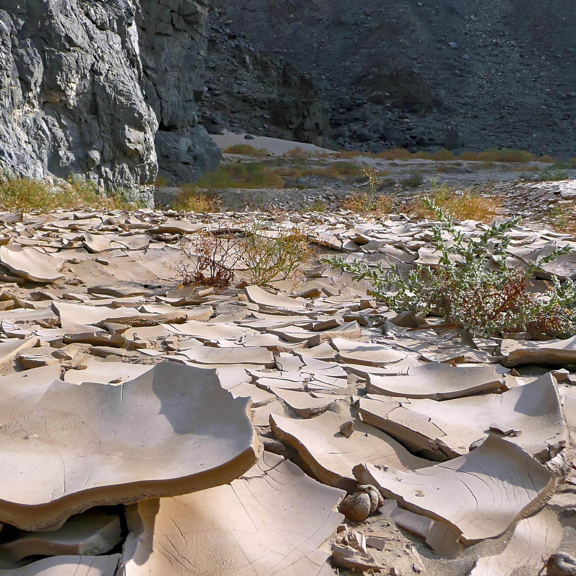 Klima-Jahresbericht - Copernicus: Die globale Erwärmung hat sich fortgesetzt