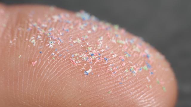 Bunte Kunststoffpartikel liegen gehäuft auf einer Fingerspitze.