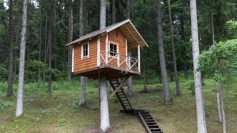 Ein Holzhaus im Wald.