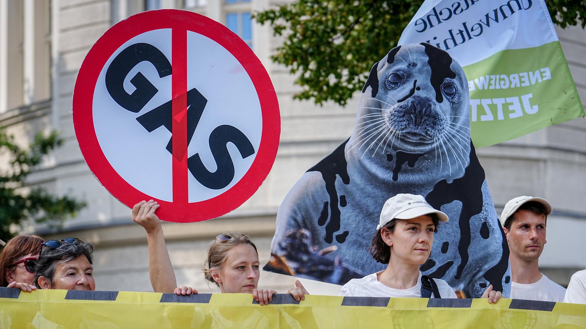Demonstranten halten mehrere Schilder hoch, darunter ein Stoppschild mit der zusätzlichen Aufschrift Gas und das Bild einer ölverschmierten Robbe. Vor ihnen ist ein Transparent zu sehen, auf dem steht: "Keine neuen Gasbohrungen."