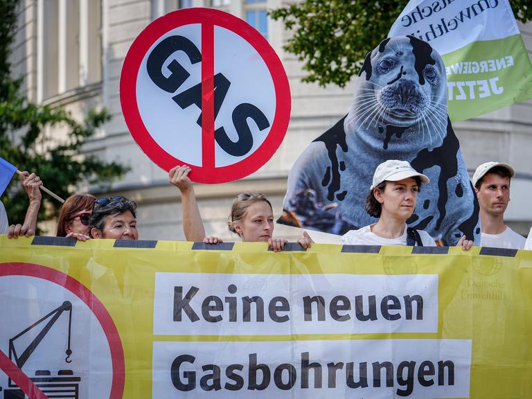Demonstranten halten mehrere Schilder hoch, darunter ein Stoppschild mit der zusätzlichen Aufschrift Gas und das Bild einer ölverschmierten Robbe. Vor ihnen ist ein Transparent zu sehen, auf dem steht: "Keine neuen Gasbohrungen."