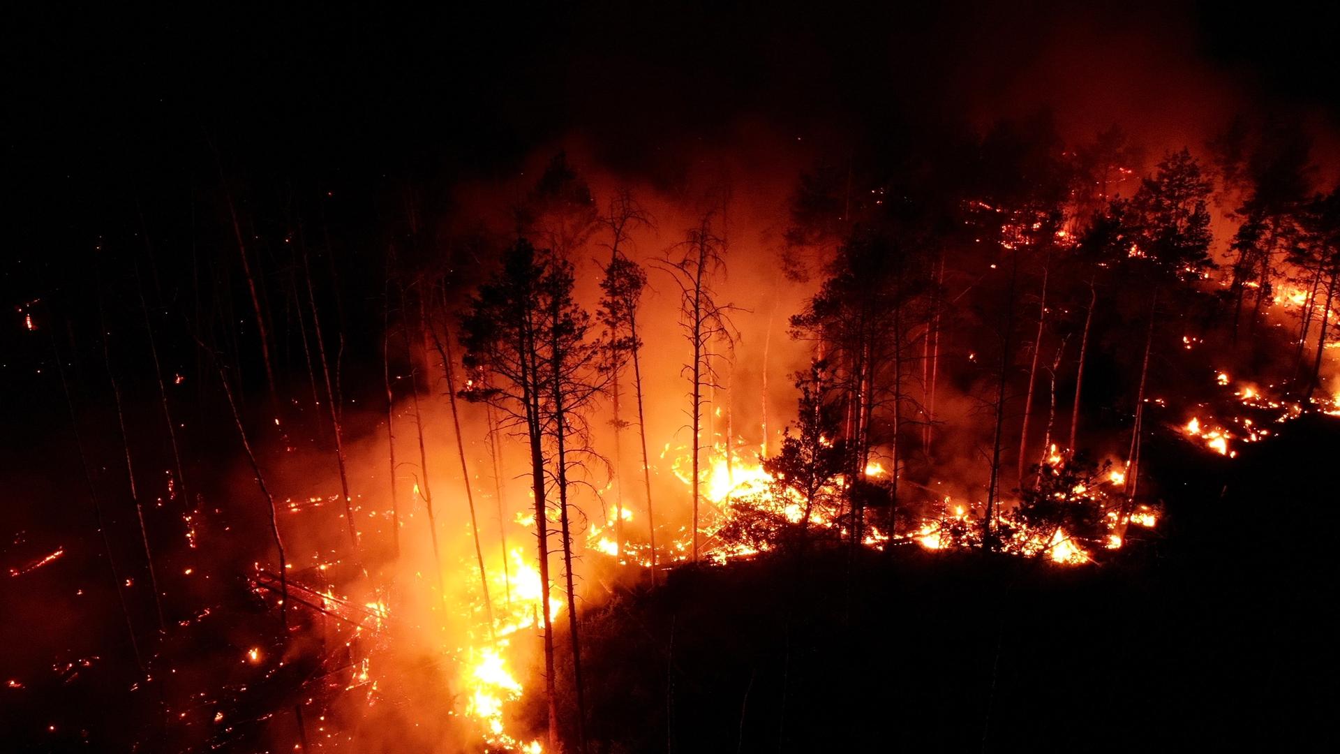 Bild aus der Luft: Ein Feuer frisst sich in der Dunkelheit durch einen Wald.