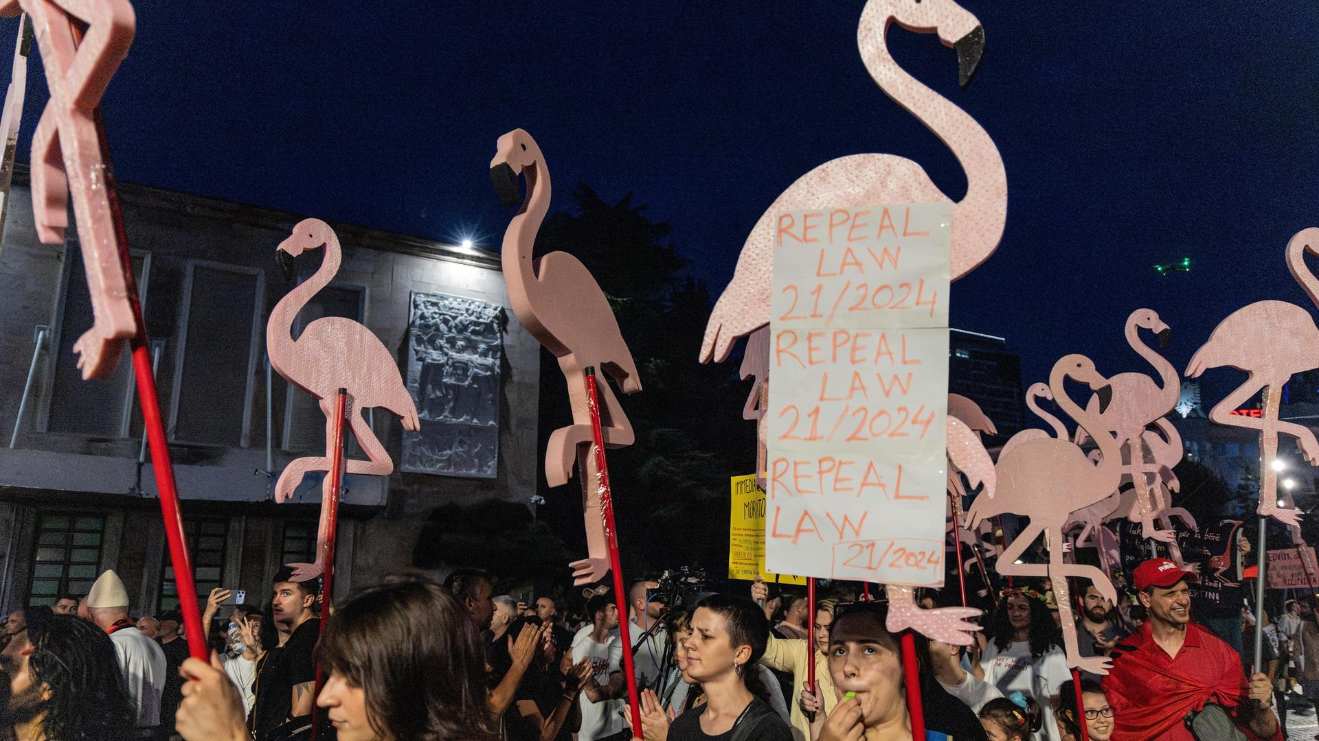 Demontranten laufen mit Protestplakaten und großen rosa Flamingofiguren durch eine Straße in Albaniens Hauptsadt Tirana. Es ist bereits Abend. 