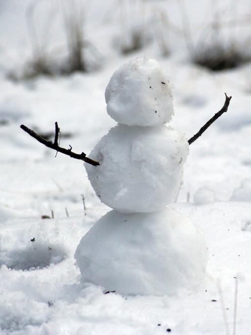 Ein kleiner Schneemann mit drei Kugeln und zwei Ästen als Arme steht in weißer Landschaft.