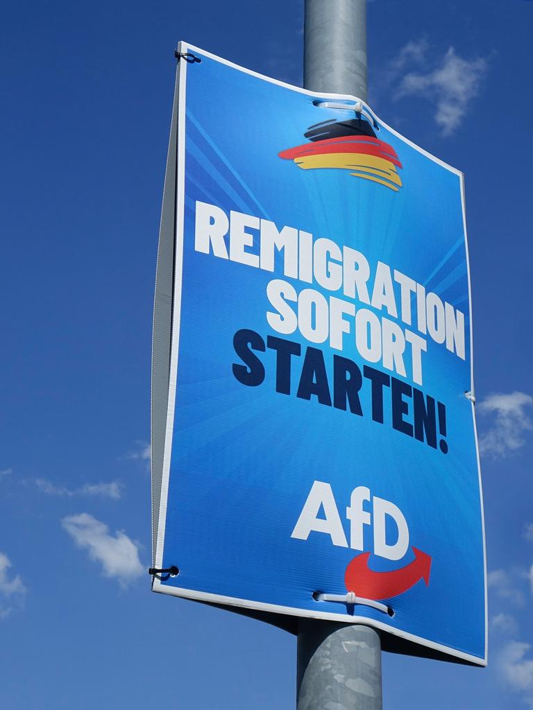 Ein Wahlplakat der AfD in Borkwalde in Brandenburg