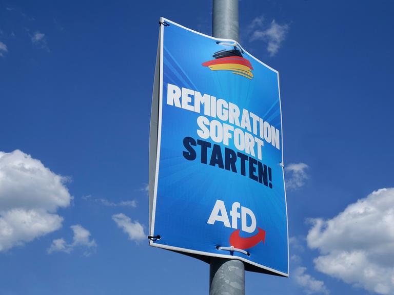 Ein Wahlplakat der AfD in Borkwalde in Brandenburg