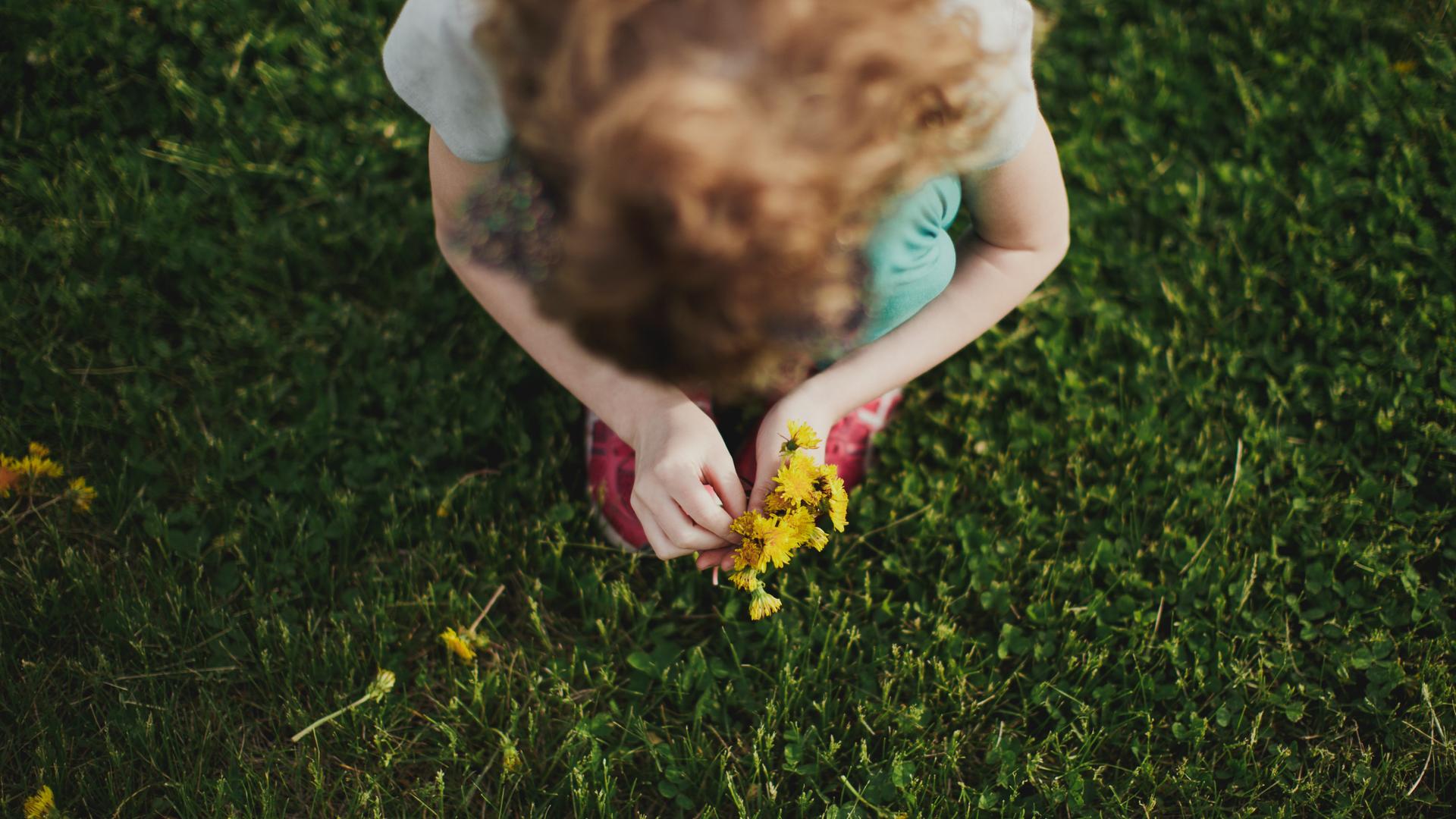 Ein Kind auf einer Wiese hocken aus der Vogelperspektive. Es pflückt gelbe Löwenzahnblumen.