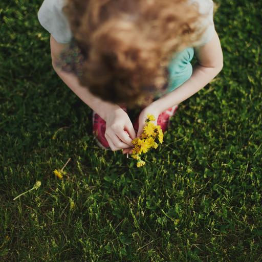 Ein Kind auf einer Wiese hocken aus der Vogelperspektive. Es pflückt gelbe Löwenzahnblumen.