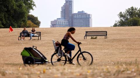 Eine Frau fährt mit ihrem Fahrrad durch einen Park, dessen Gras braun geworden ist. In Köln hat der trockene Hitze-Sommer 2022 besonders viele Grünanlagen verdorren lassen. Bäume verlieren bereits ihre Blätter im Sommer, Wiesenflächen sind ausgedorrt.