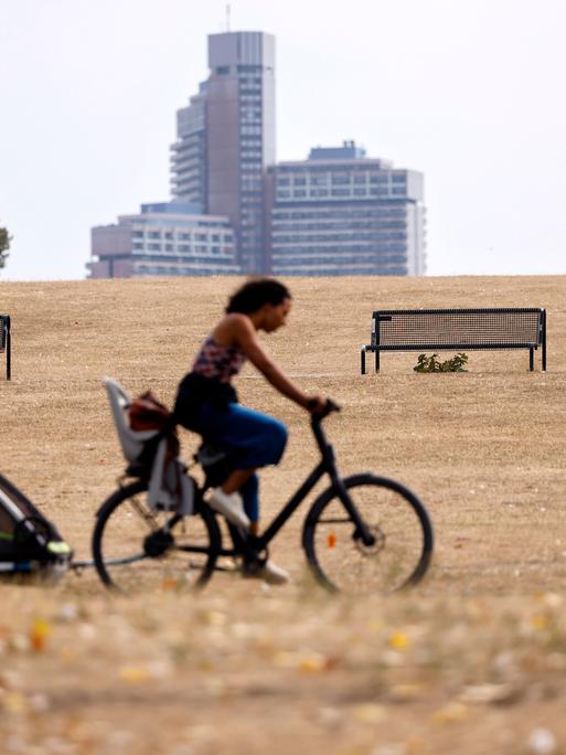 Eine Frau fährt mit ihrem Fahrrad durch einen Park, dessen Gras braun geworden ist. In Köln hat der trockene Hitze-Sommer 2022 besonders viele Grünanlagen verdorren lassen. Bäume verlieren bereits ihre Blätter im Sommer, Wiesenflächen sind ausgedorrt.