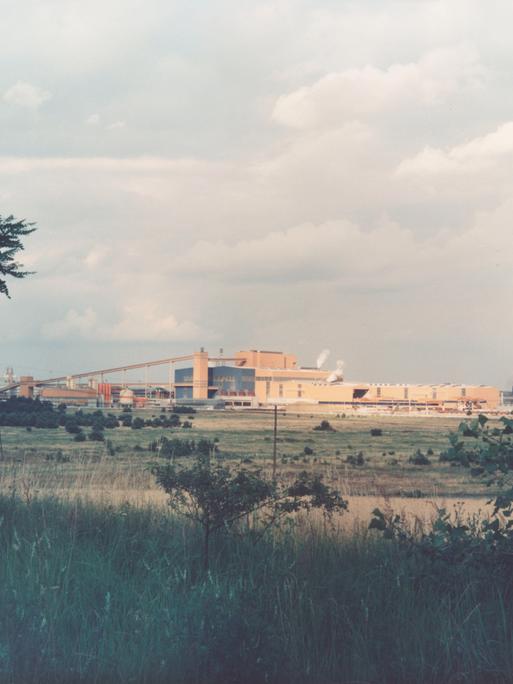 Ein verblichenes Foto vom Eisenhüttenkombinat Ost in Eisenhüttenstadt. Das große Stahlwerk steht an einer Wiese. 