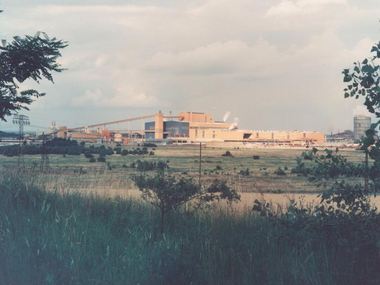 Ein verblichenes Foto vom Eisenhüttenkombinat Ost in Eisenhüttenstadt. Das große Stahlwerk steht an einer Wiese. 