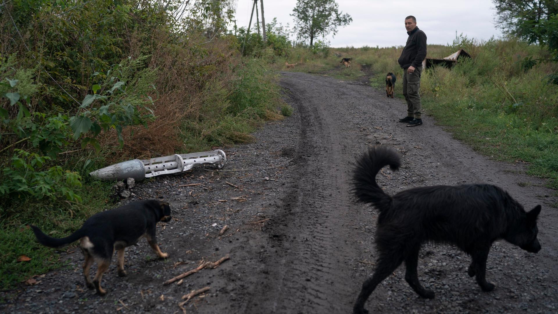 Auf einem ukrainischen Feldweg liegt eine leere Streubombe. Ein Mann führt ungerührt seine vier Hunde aus.