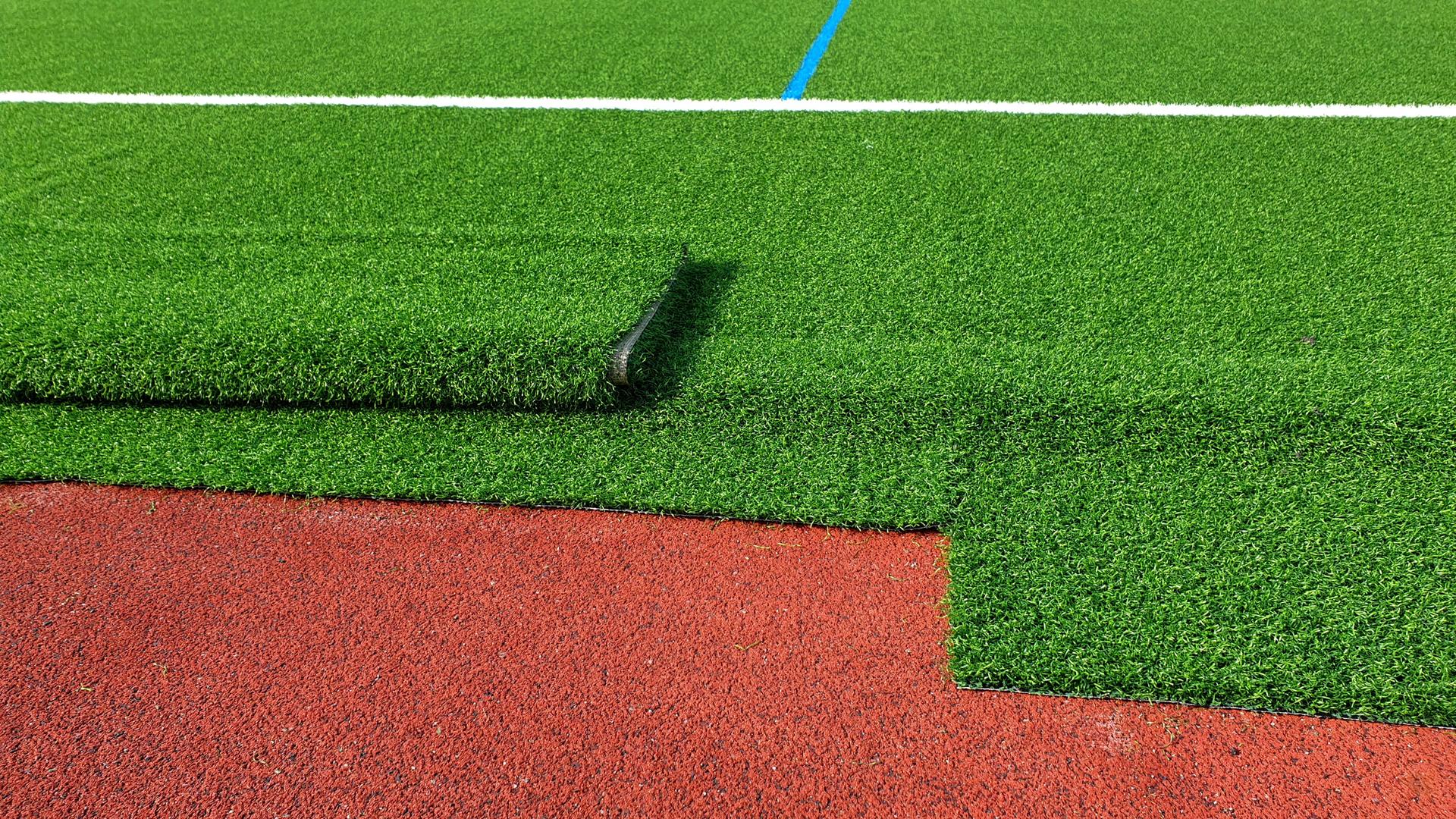 Environmental protectors are against artificial turf on the EM fan mile in Berlin