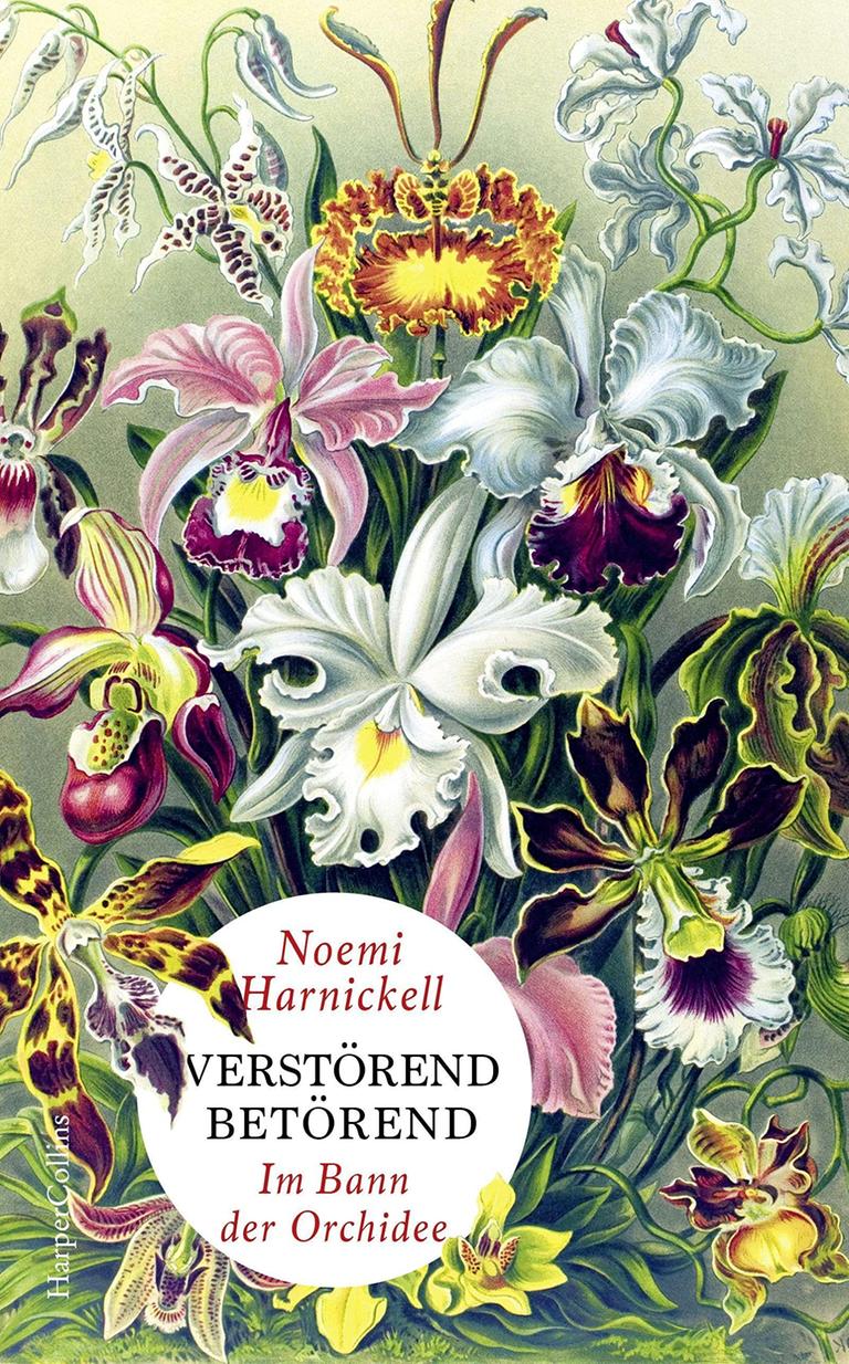 Noemi Harnickells Buch "Verstörend Betörend": Das Cover zeigt den Namen der Autorin und den Buchtitel vor dem Hintergrund einer künstlerisch-opulent gestalteten Orchideensammlung.