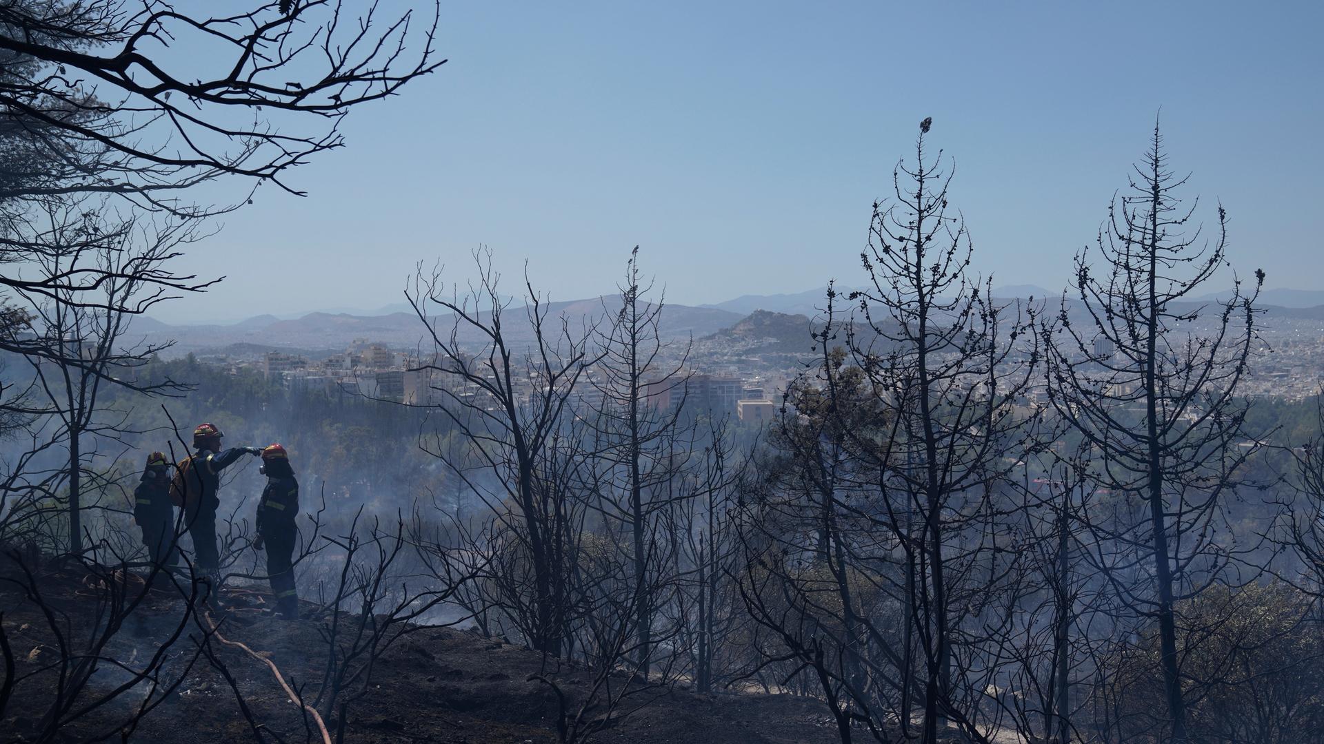 Feuerwehrleute löschen einen Flächenbrand bei Athen, Griechenland. 