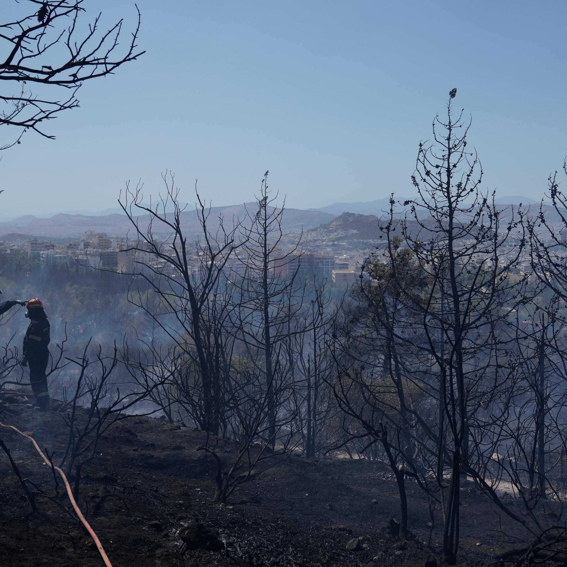 Feuerwehrleute löschen einen Flächenbrand bei Athen, Griechenland. 