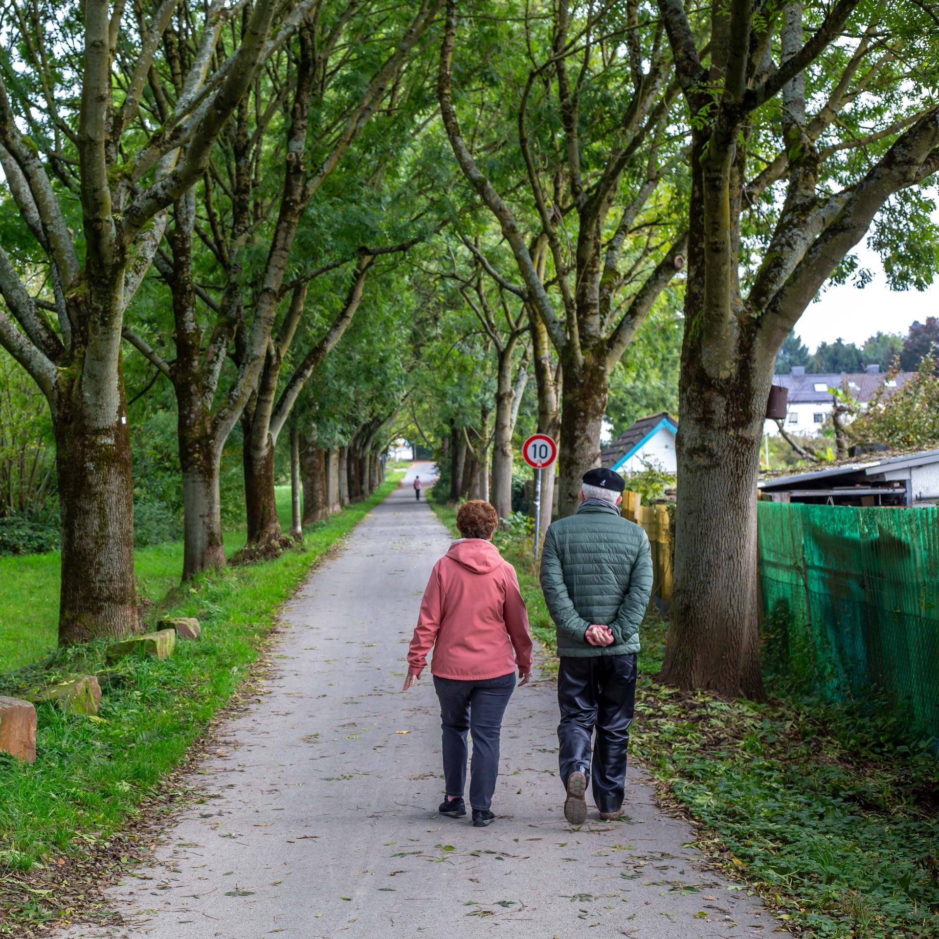 Reform-Vorschläge - Grünen rütteln an der Rente mit 63
