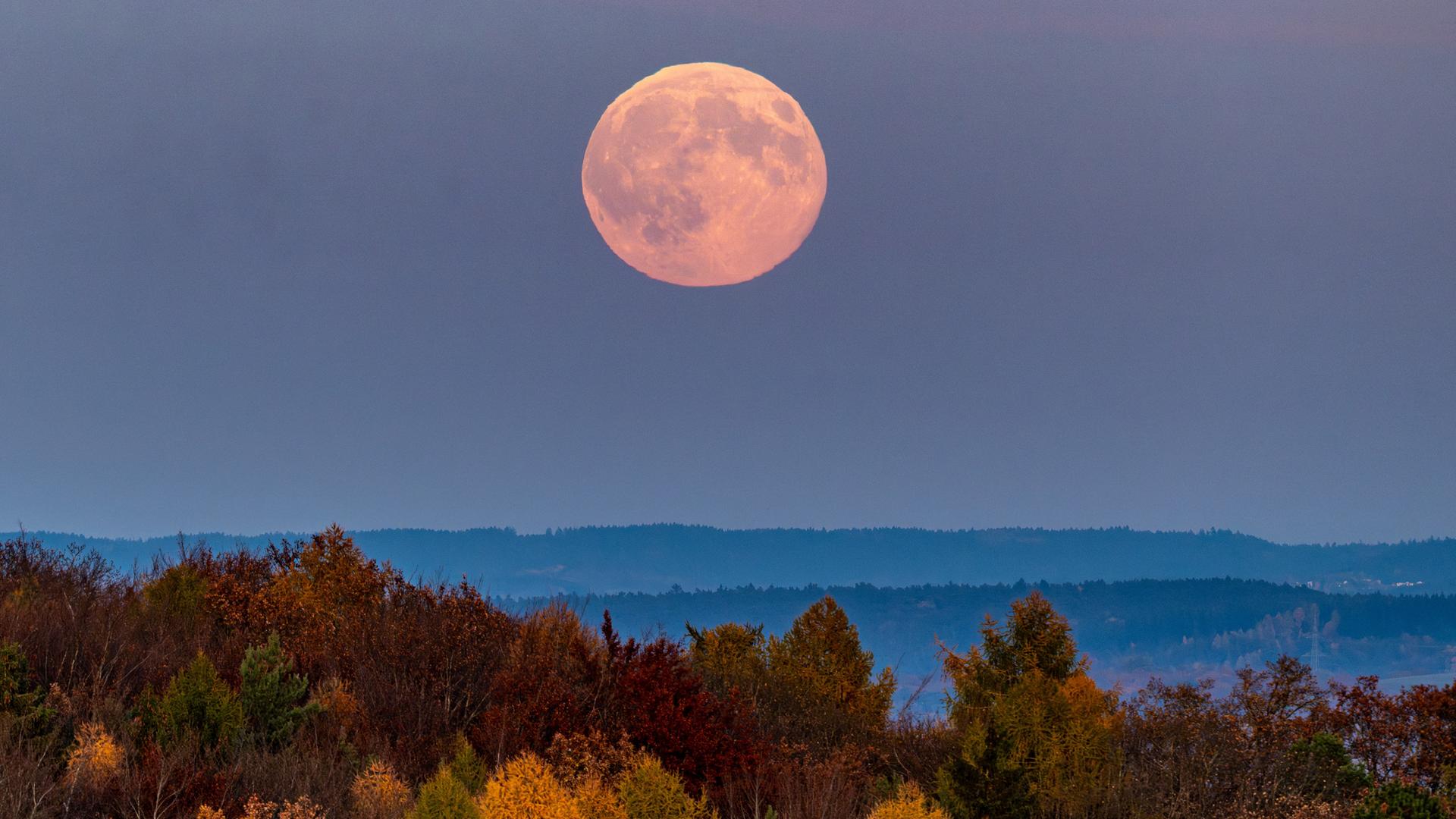 Der Voll-Mond geht über der herbstlichen Landschaft nahe Regensburg auf. Der Voll-Mond geht über der herbstlichen Landschaft nahe Regensburg auf.