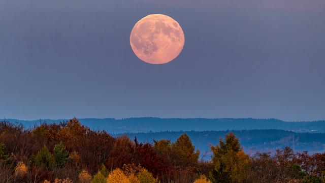 Der Voll-Mond geht über der herbstlichen Landschaft nahe Regensburg auf.