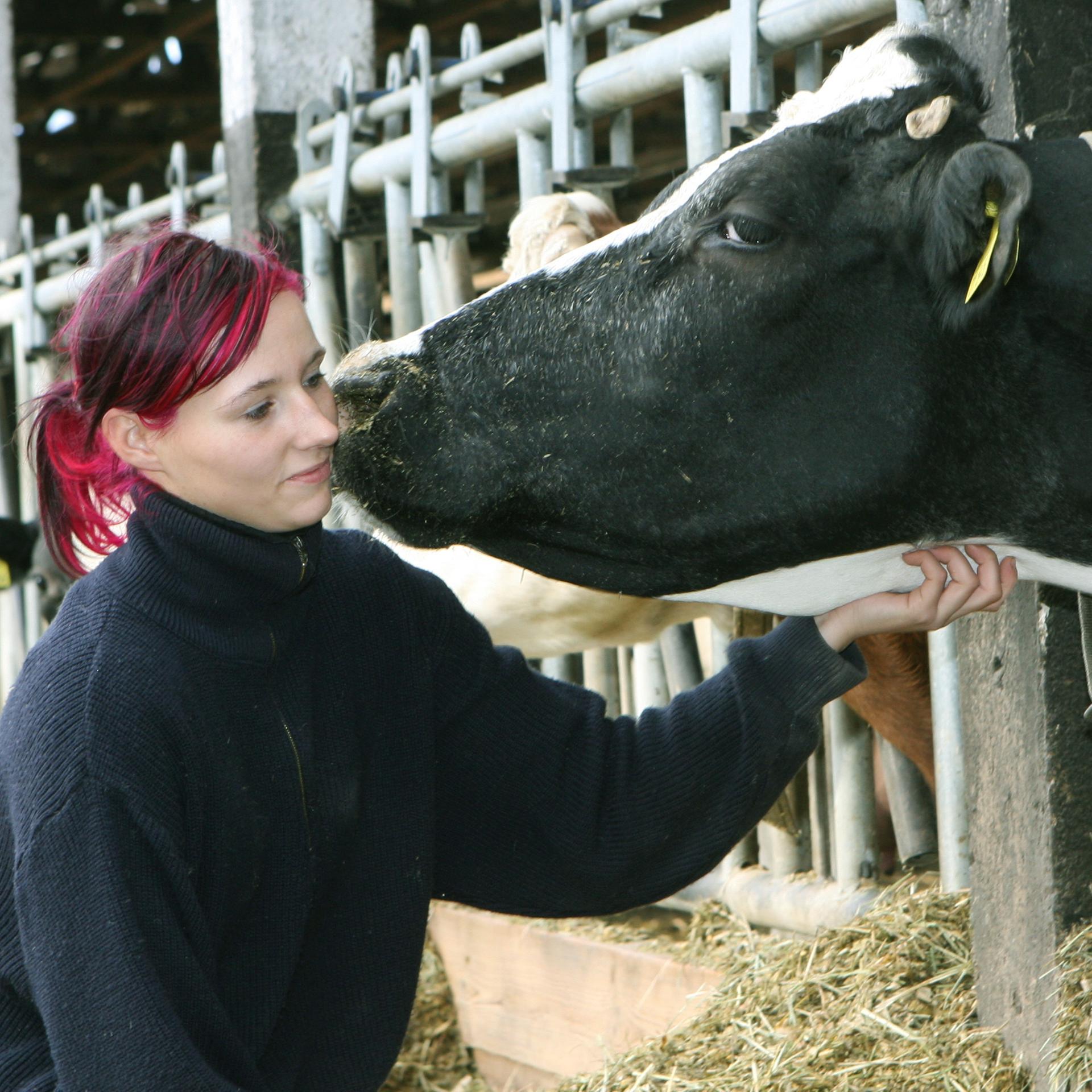 Landwirtschaft unter Druck - So erschöpft sind die Bauern thumbnail