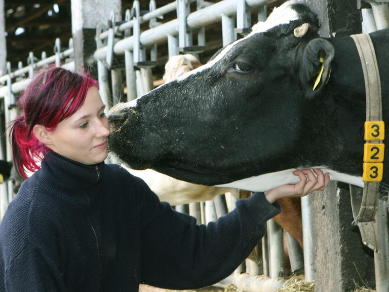 Eine junge Frau mit violett getönten Haaren streichelt eine Kuh, die ihren Kopf aus dem Gatter des Stalls streckt.
