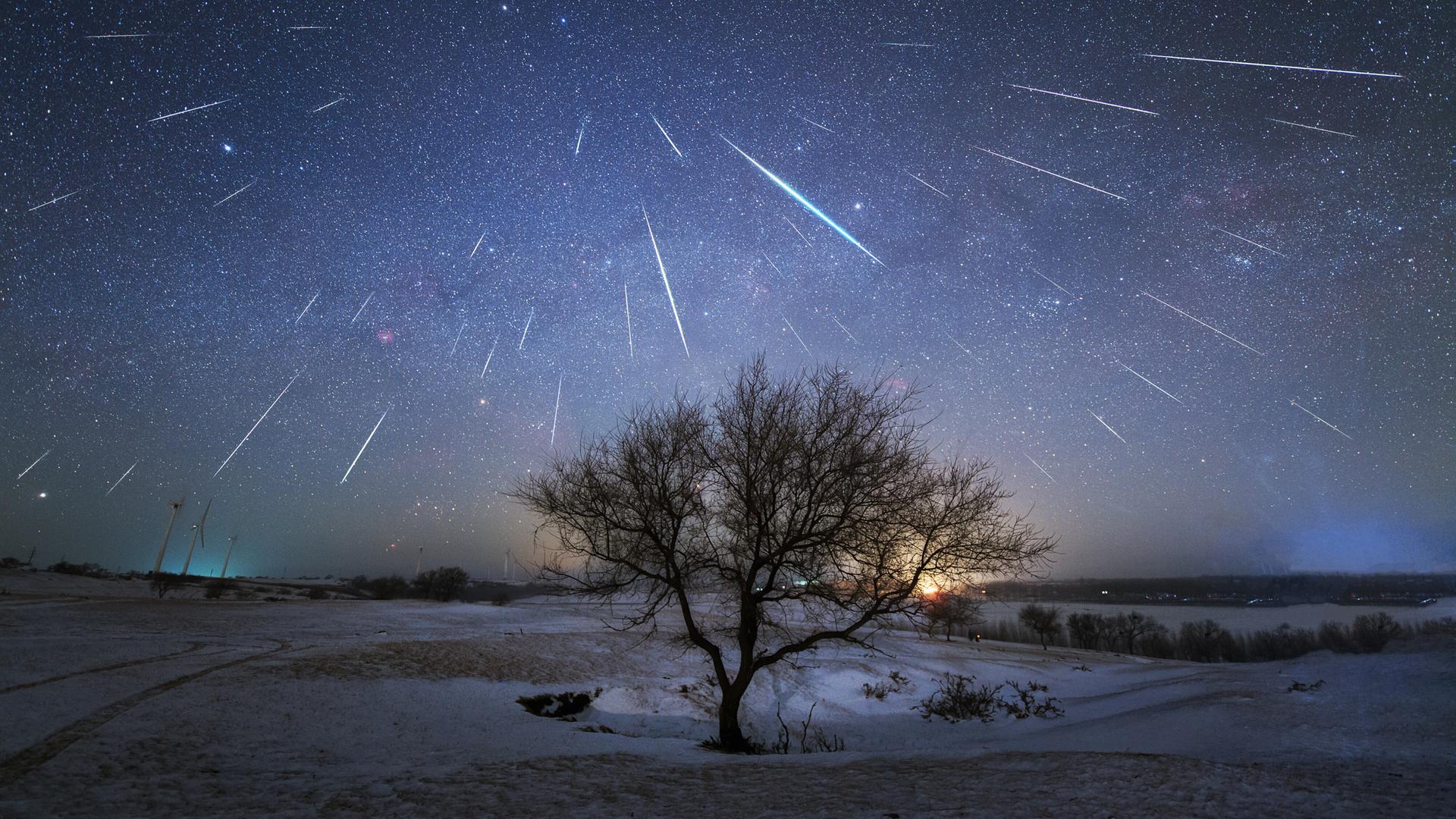 Ein Schwarm von Sternschnuppen am nächtlichen Himmel über einer Landschaft mit einem frei stehenden Baum