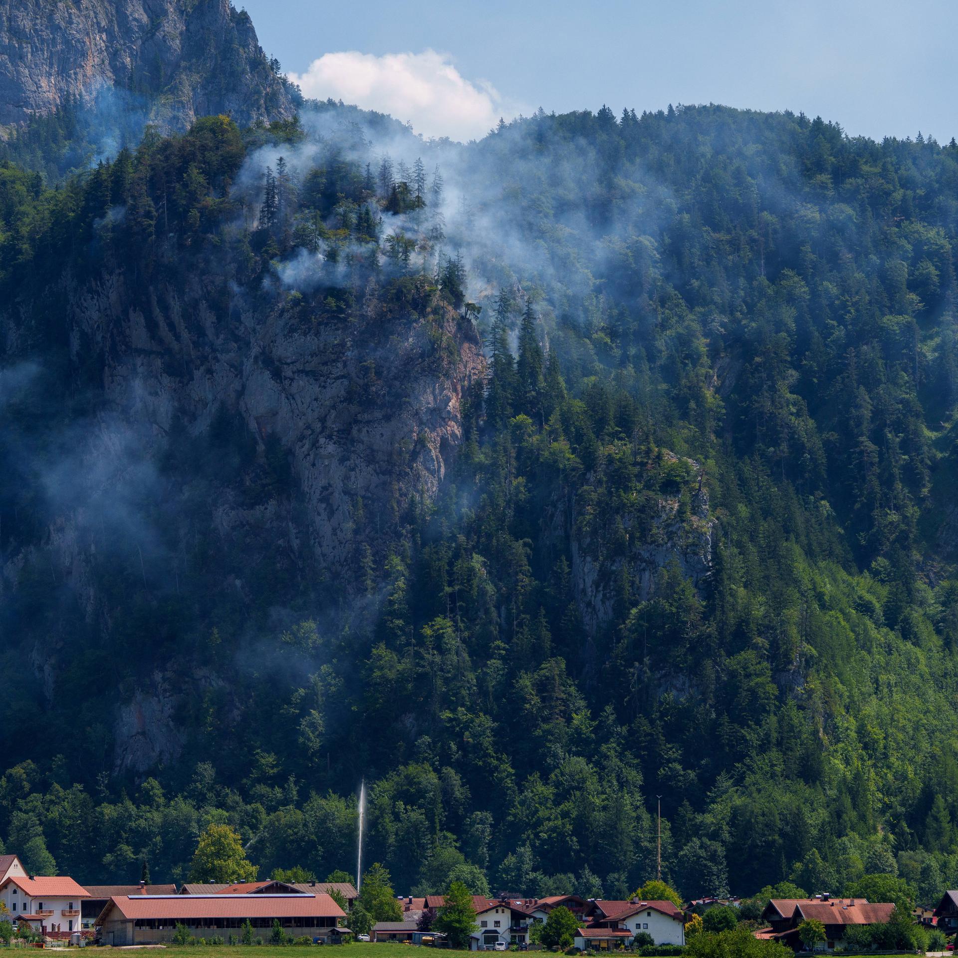 Flammen und Rauch sind in einem Waldstück an einem Berghang zu erkennen.