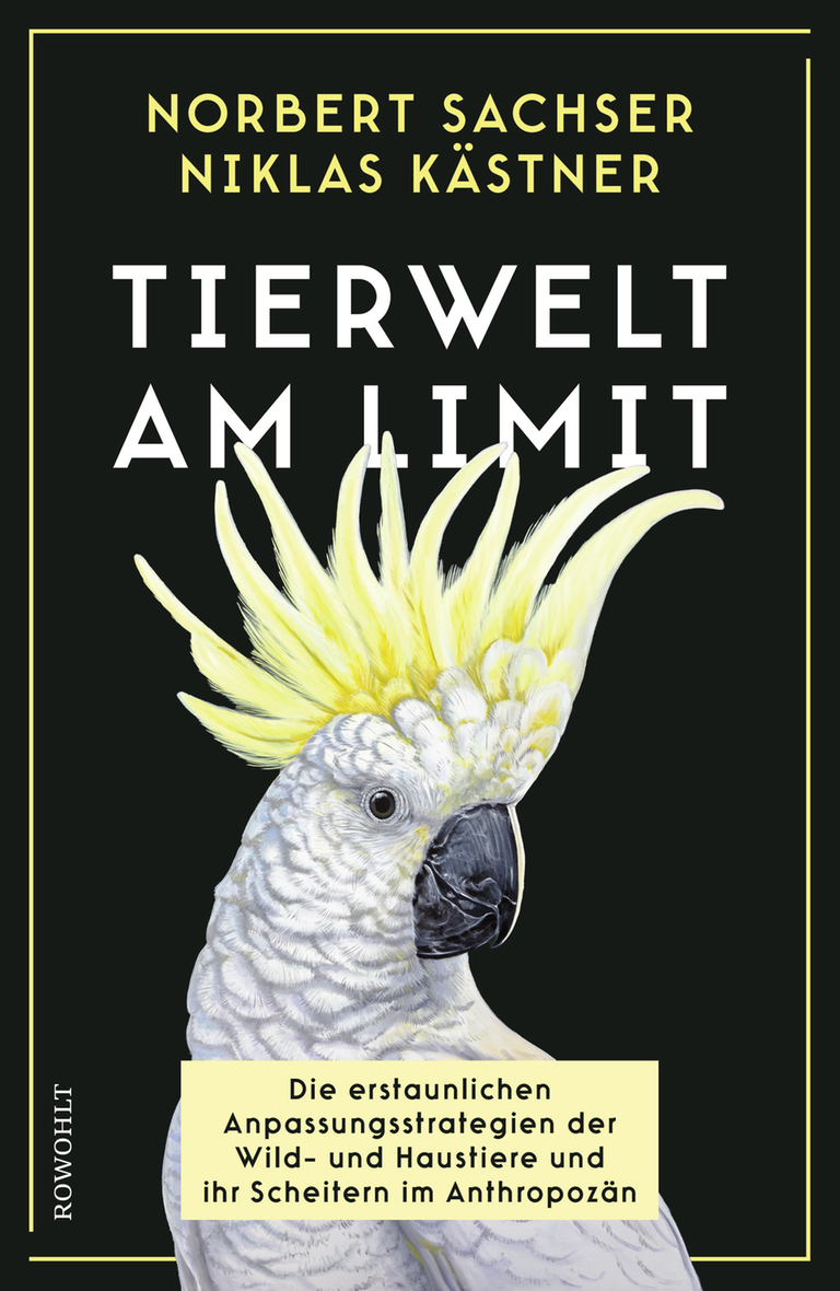 Das cover des Buches "Tierwelt am Limit" zeigt einen Kakadu vor schwarzem HIntergrund